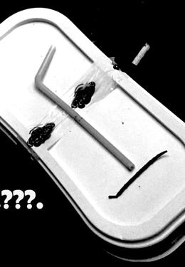 109.000.000.???. Şahit