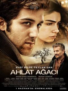 Ahlat Ağacı – The Wild Pear Tree