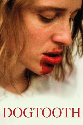 Kynodontas – Köpek Dişi