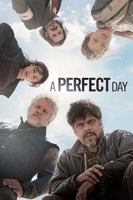 A Perfect Day – Mükemmel Bir Gün