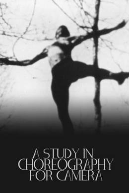 A Study in Choreography for Camera