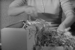 Alfred Hitchcock Presents 2. Sezon 23. Bölüm