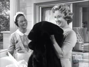 Alfred Hitchcock Presents 6. Sezon 1. Bölüm