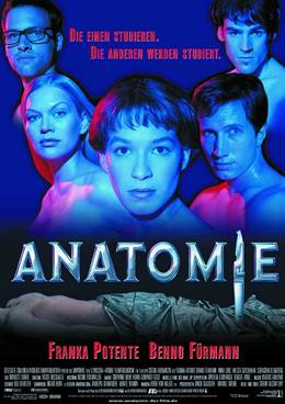 Anatomie – Anatomi