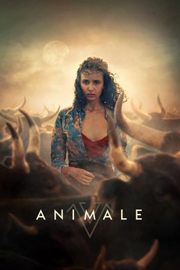 Animale – Hayvan