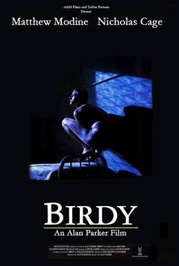Birdy