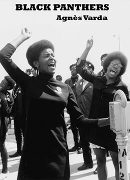Black Panthers – Kara Panterler