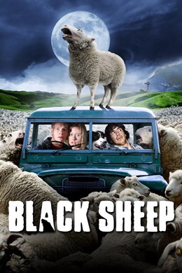 Black Sheep – Kara Koyun
