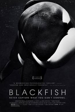 Blackfish – Kara Balık