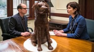 BrainDead 1. Sezon 1. Bölüm