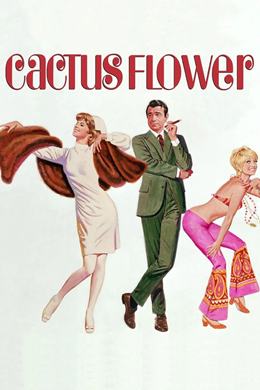 Cactus Flower – Kaktüs Çiçeği