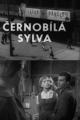 Cernobílá Sylva