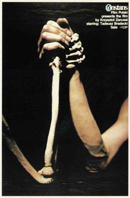 Constans – Sabit Sayı