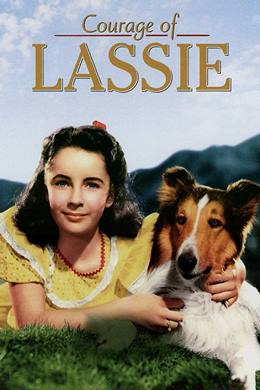 Courage of Lassie – Korkusuz Lassie