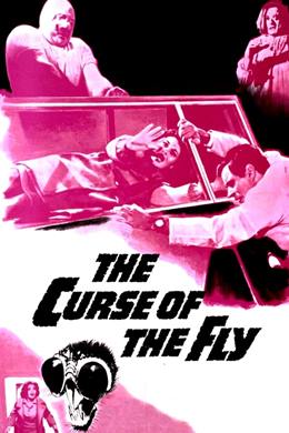 Curse of the Fly – Sineğin Laneti