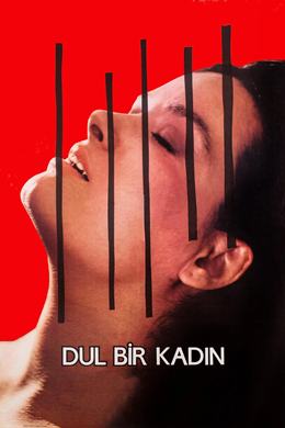 Dul Bir Kadın