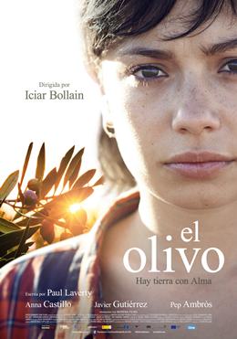 El Olivo – Zeytin Ağacı