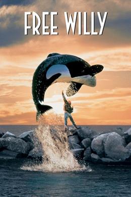 Free Willy – Özgür Willy