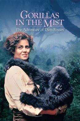 Gorillas in the Mist: The Story of Dian Fossey – Sisteki Goriller
