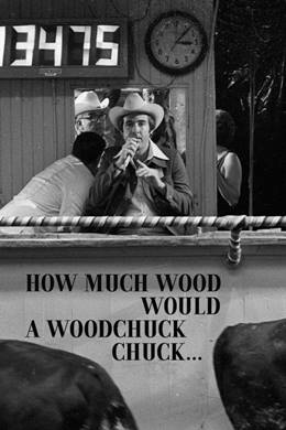 How Much Wood Would a Woodchuck Chuck… – Yeni Bir Dile İlişkin Gözlemler