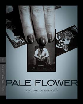 Kawaita Hana – Solgun Çiçek