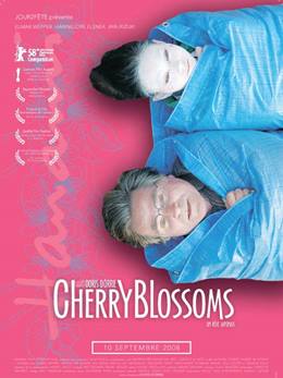 Kirschblüten – Hanami – Kiraz Çiçekleri