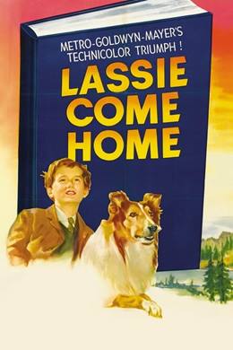 Lassie Come Home – Yuvaya Dönüş