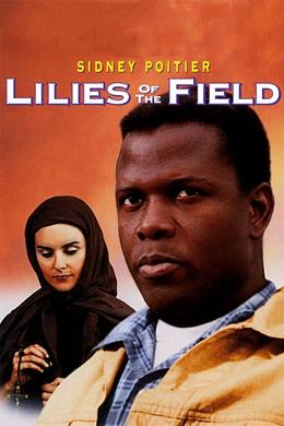 Lilies of the Field – Çayırdaki Zambaklar