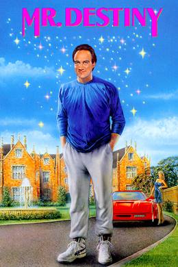 Mr. Destiny