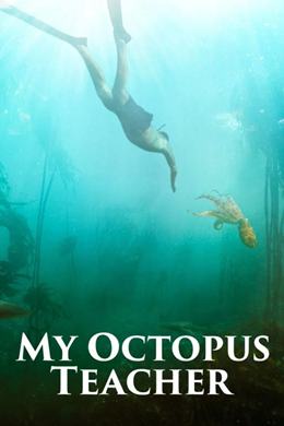 My Octopus Teacher – Ahtapottan Öğrendiklerim