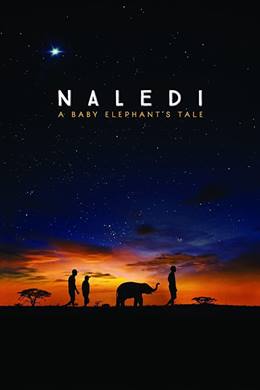 Naledi: A Baby Elephant’s Tale – Yavru Fil Naledi