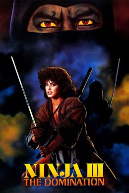 Ninja III: The Domination