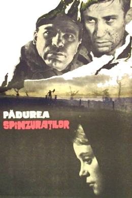 Padurea Spânzuratilor – Asılmışlar Ormanı