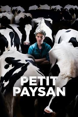Petit Paysan – Çiğ Süt