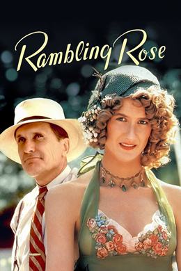 Rambling Rose – Uçarı Gül