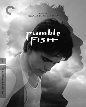 Rumble Fish – Siyam Balığı