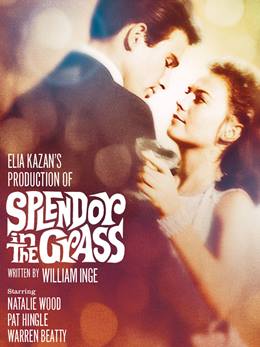 Splendor in the Grass – Aşk Bahçesi