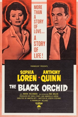The Black Orchid – Vahşi Çiçek