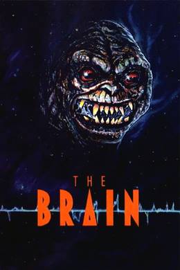 The Brain – Beyin