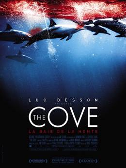 The Cove – Koy