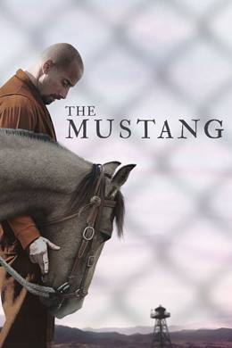 The Mustang – Yabani At