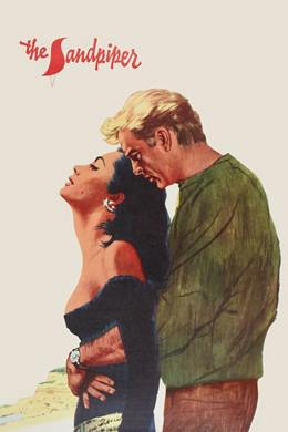 The Sandpiper – Ümitsiz Aşk
