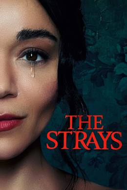 The Strays – Başıboş
