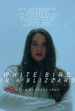 White Bird in a Blizzard – Karda Bir Beyaz Kuş