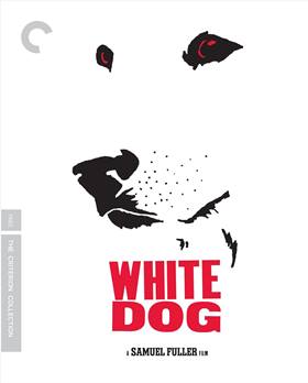 White Dog – Beyaz Köpek